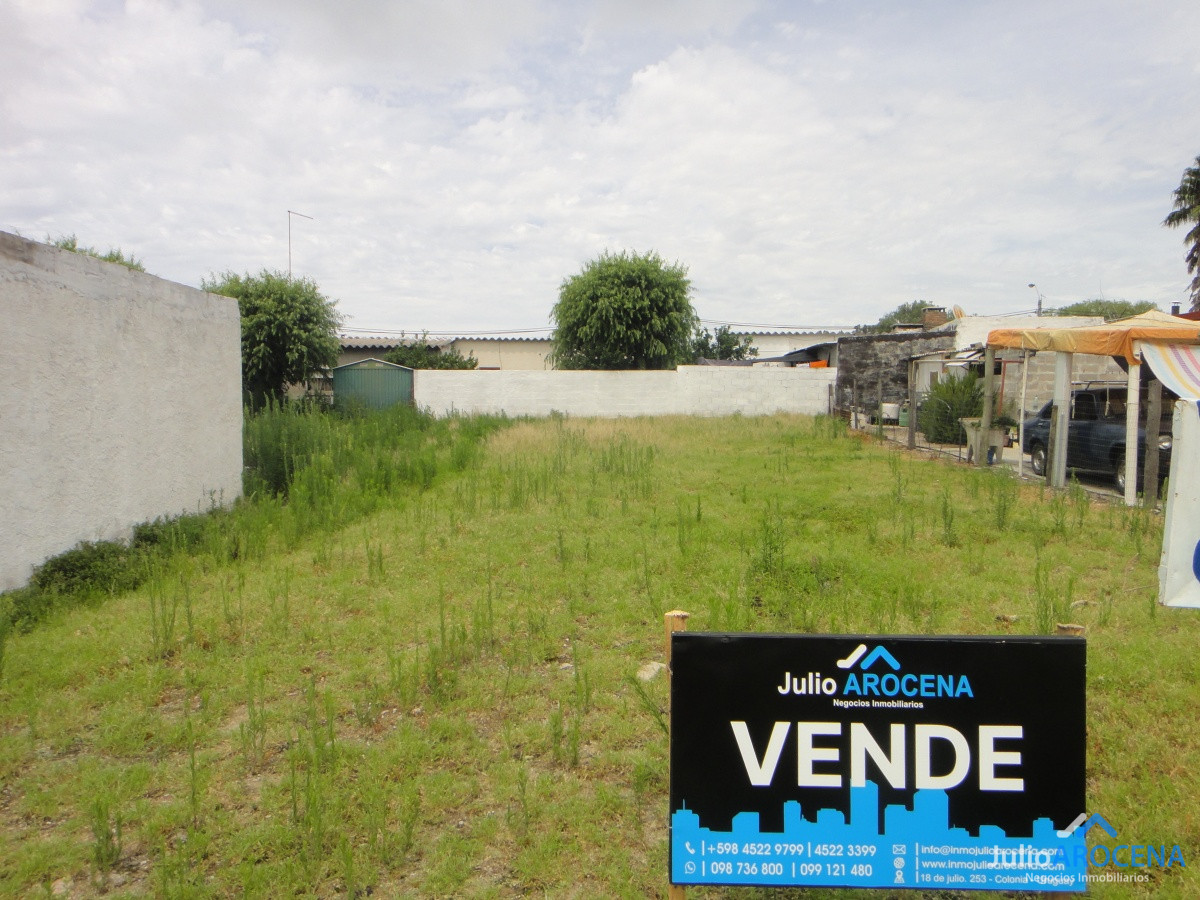 Terreno ID.770 - En Venta Terreno Nivelado 