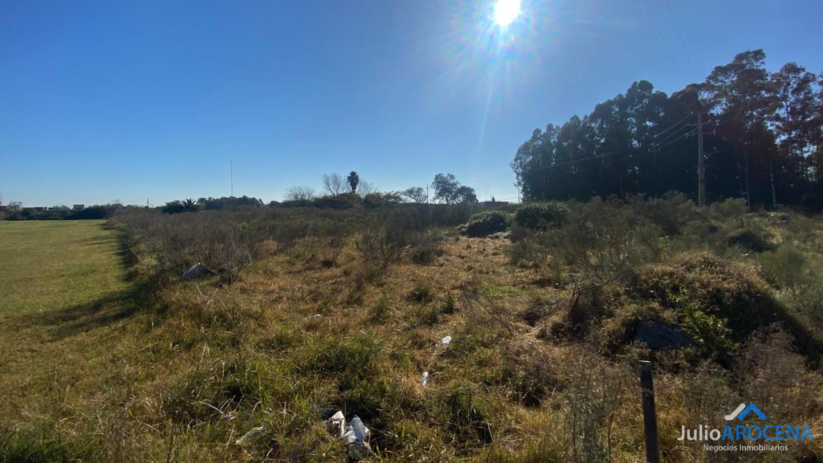 Terreno ID.598 - Terreno de 3717 m²
