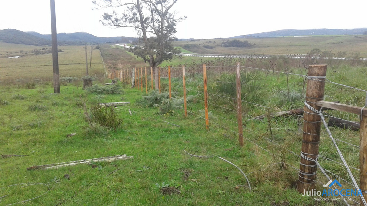 Terreno ID.1017 - 80 Hectáreas a la Venta 