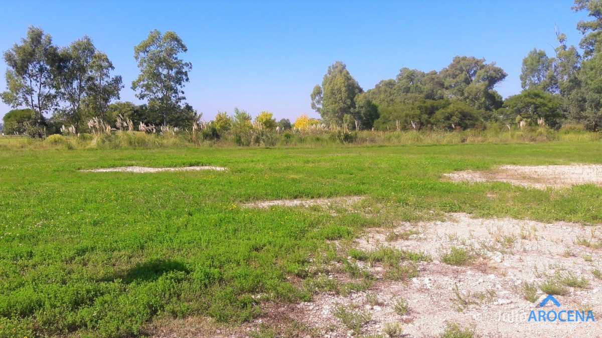 Terreno ID.589 - Terreno 1650 m2, en Colonia