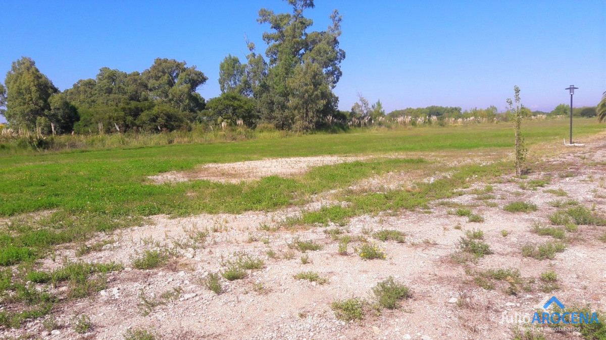 Terreno ID.589 - Terreno 1650 m2, en Colonia