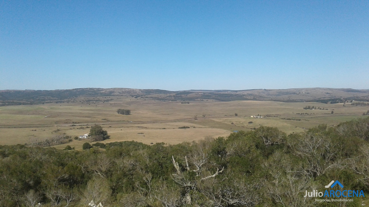Terreno ID.1017 - 80 Hectáreas a la Venta 