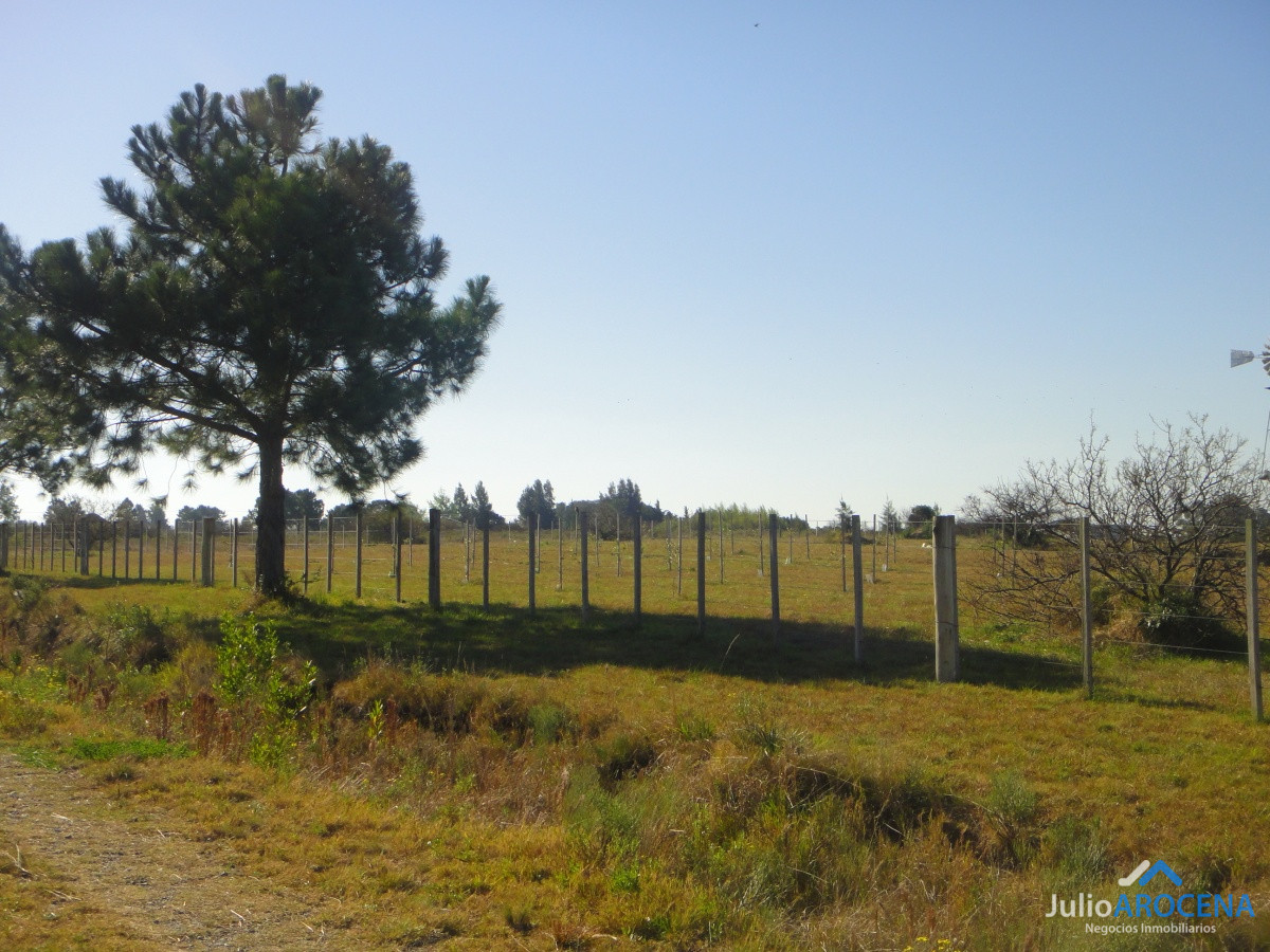 Terreno ID.694 - Terreno en Colonia del Sacramento, 