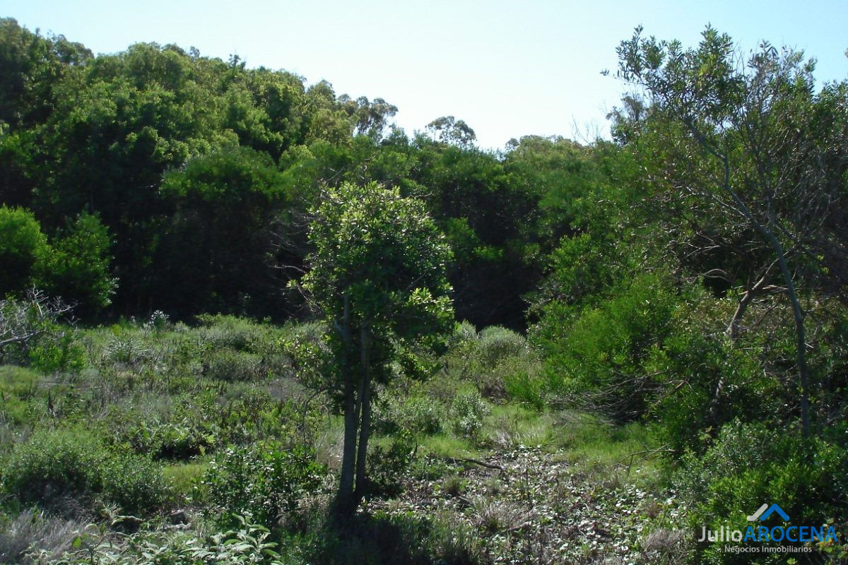 Terreno ID.377 - Terreno en 2da fila Ruta 10 