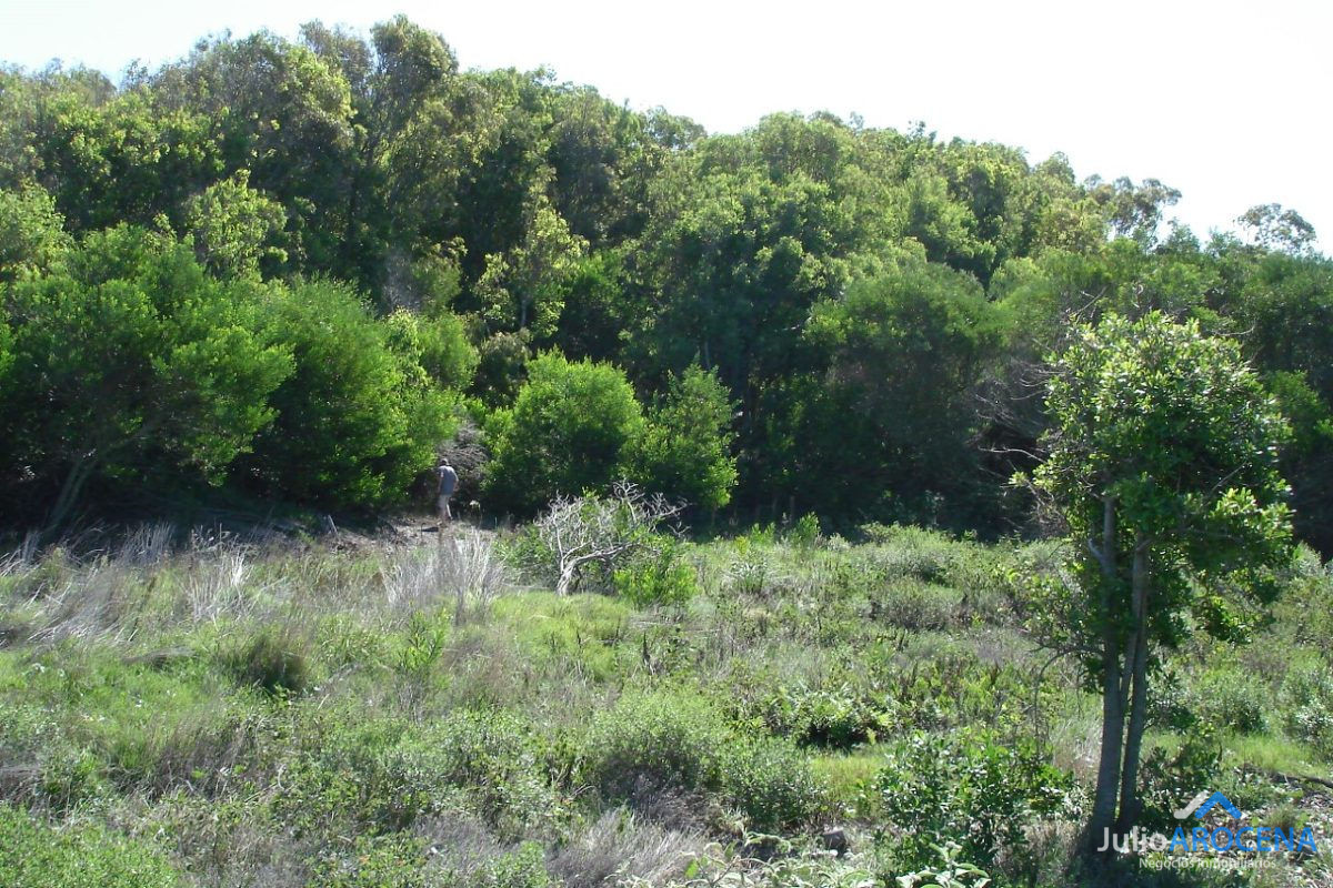 Terreno ID.377 - Terreno en 2da fila Ruta 10 