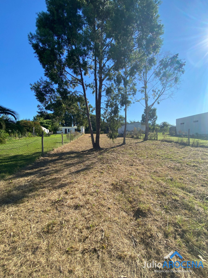 Terreno ID.1210 - Terreno En Venta Celedoño Rojas 