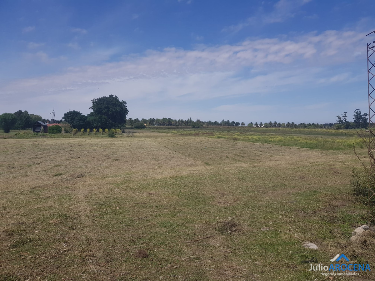 Terreno ID.1024 - HECTAREA A LA VENTA