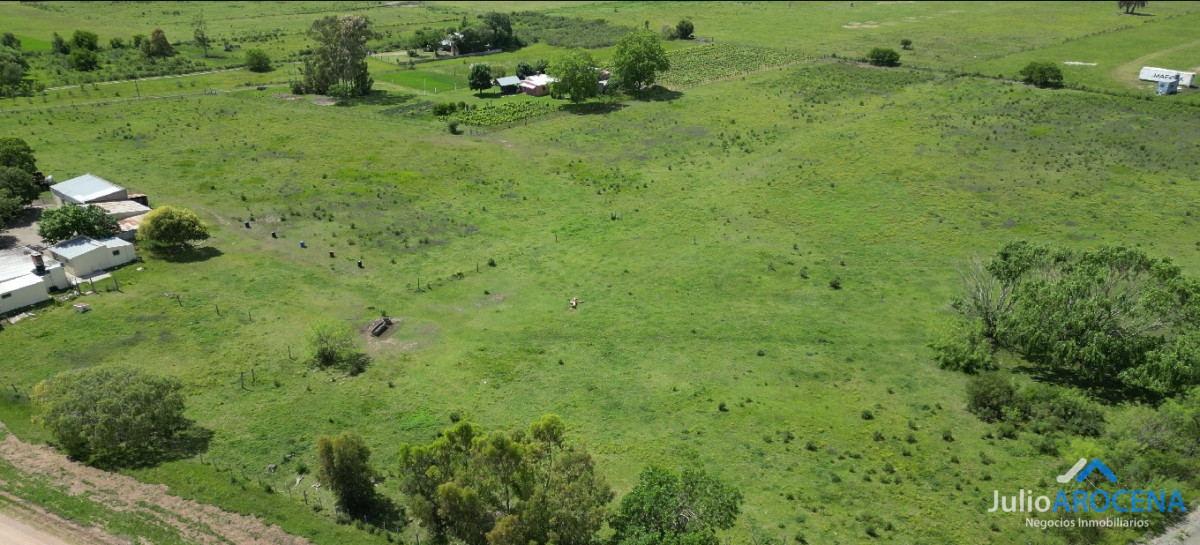 Terreno ID.1024 - HECTAREA A LA VENTA