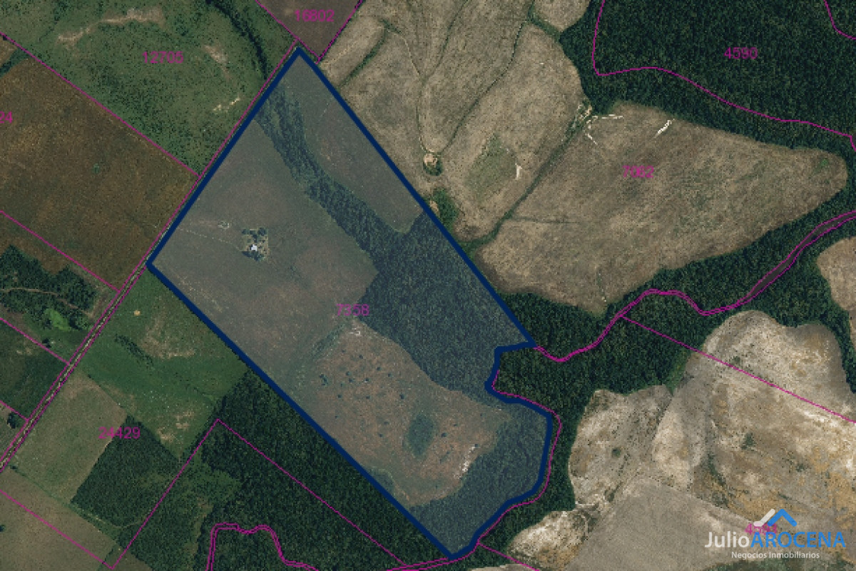 Terreno ID.996 - Hectáreas a la venta 