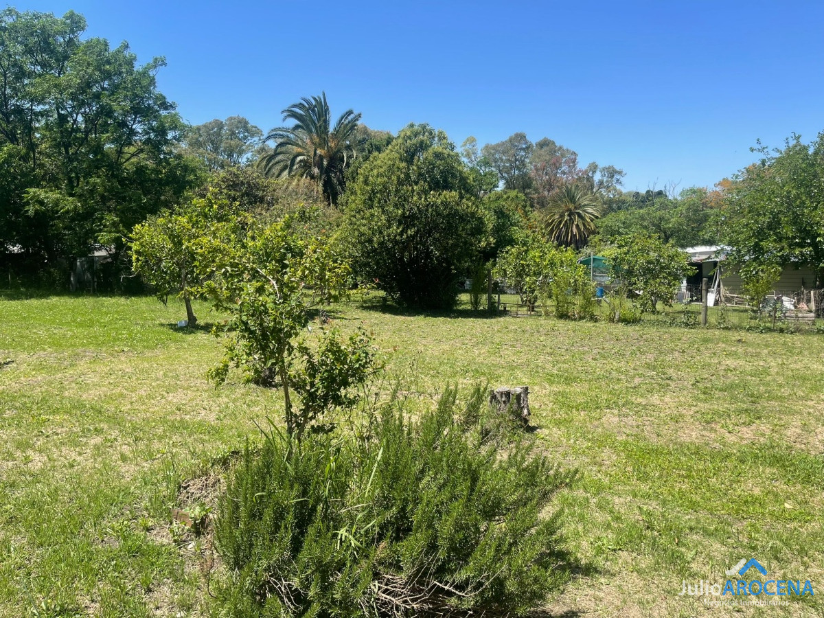 Terreno ID.953 - Extenso terreno en zona real de sancarlos! 