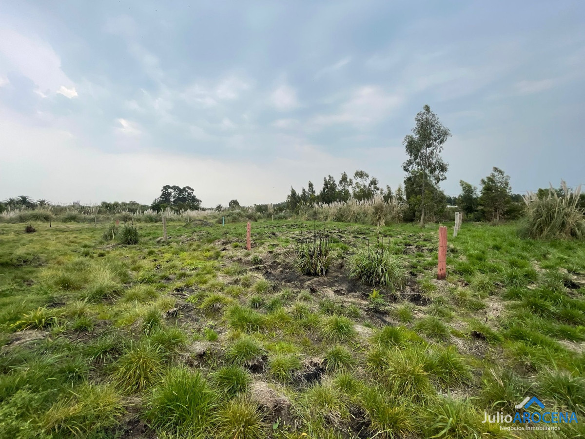 Terreno ID.1114 - Esplendido Terreno con cercania a ruta 1