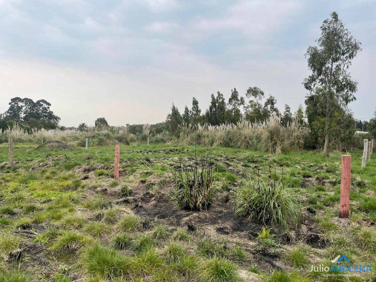 Terreno ID.1114 - Esplendido Terreno con cercania a ruta 1