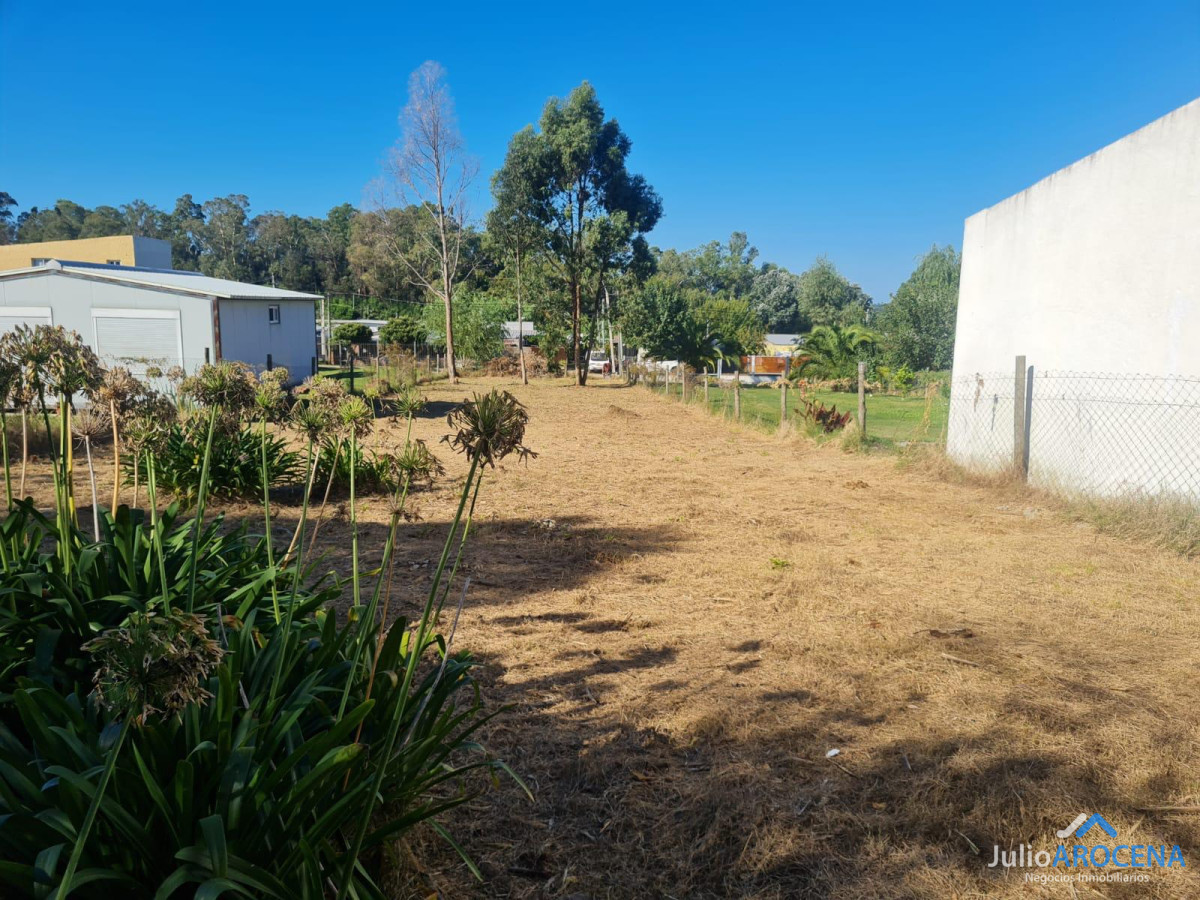 Terreno ID.1210 - Terreno En Venta Celedoño Rojas 