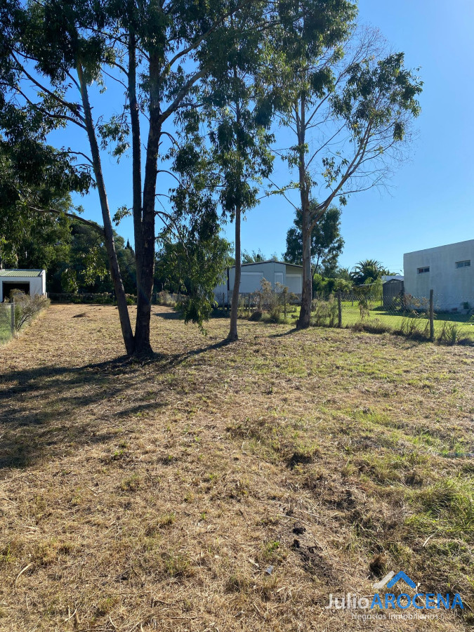 Terreno ID.1210 - Terreno En Venta Celedoño Rojas 