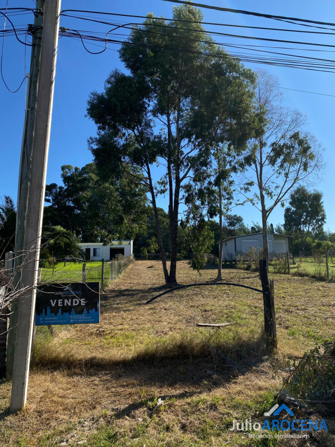 Terreno ID.1210 - Terreno En Venta Celedoño Rojas 