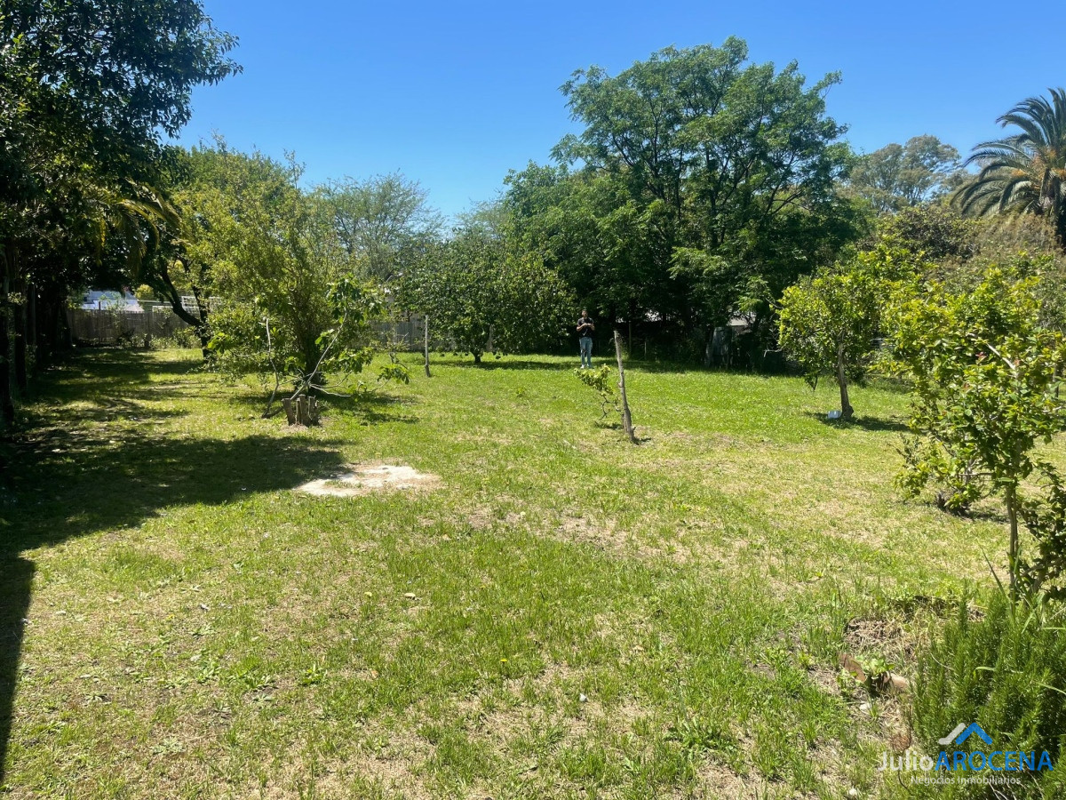 Terreno ID.953 - Extenso terreno en zona real de sancarlos! 