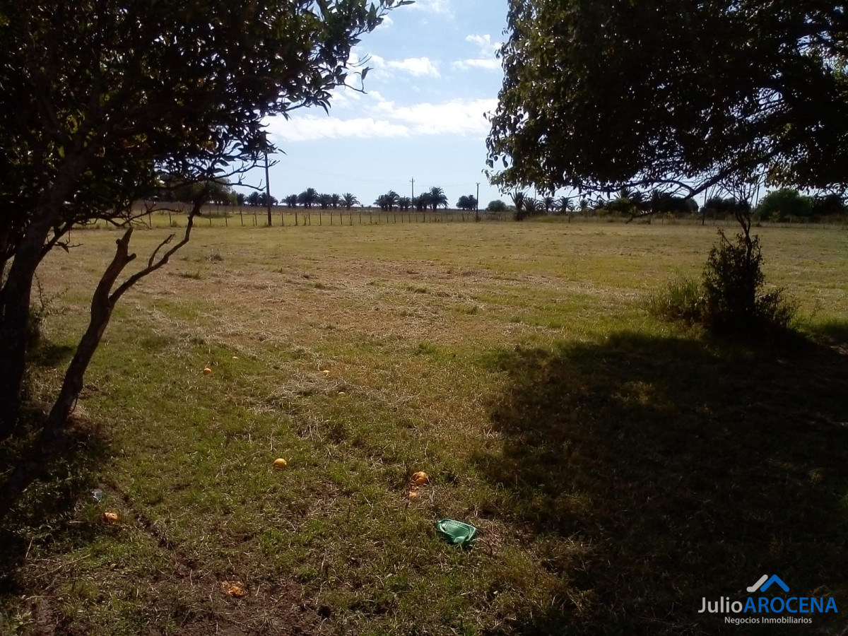 Terreno ID.1023 - HECTAREA A LA VENTA