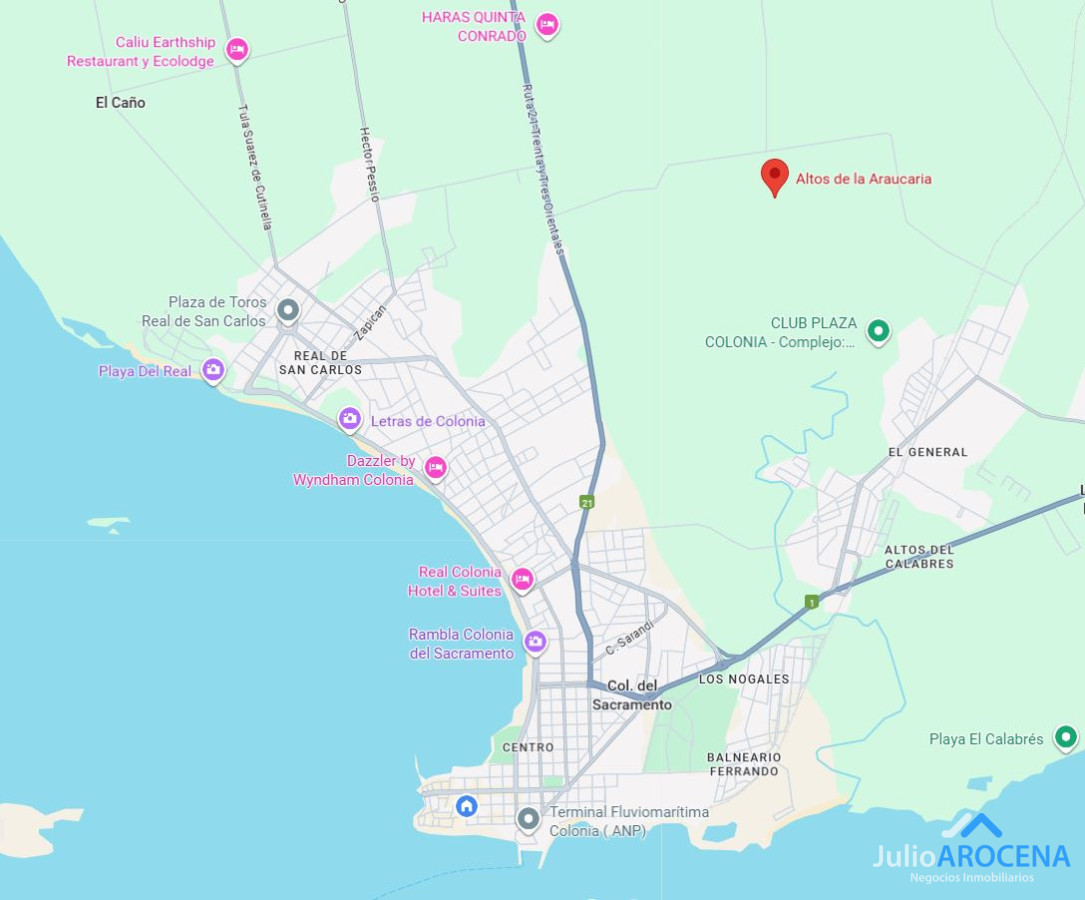 Terreno ID.1328 - 50 HECTAREAS - ESPECTACULAR TERRENO EN ALTOS DE ARAUCARIA 