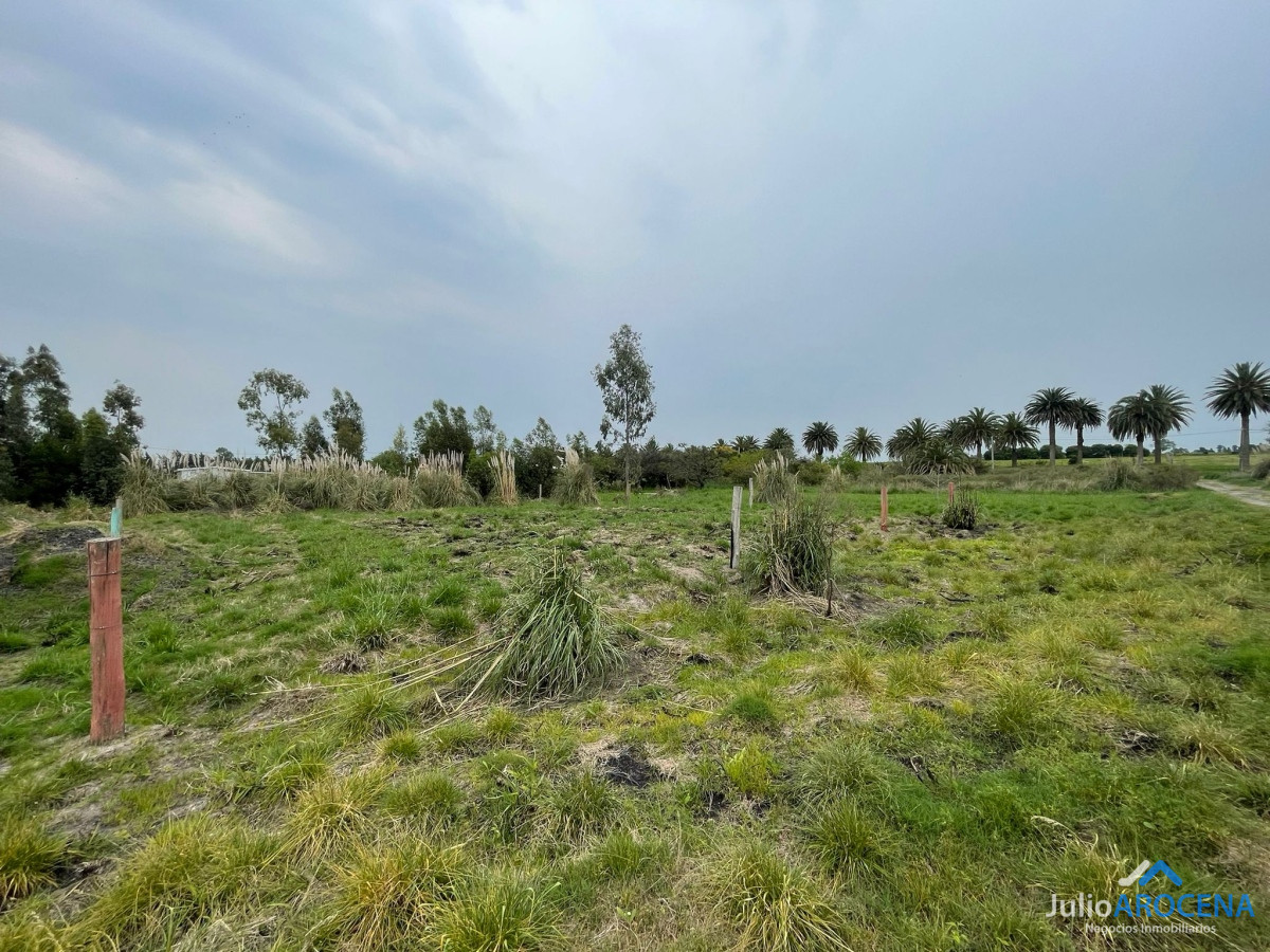Terreno ID.1114 - Esplendido Terreno con cercania a ruta 1