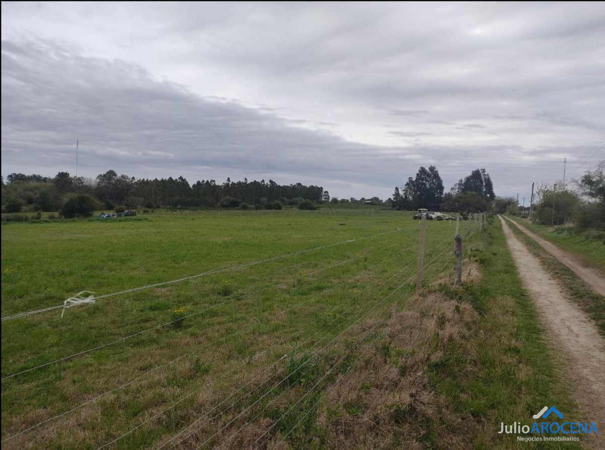 Terreno ID.1328 - 50 HECTAREAS - ESPECTACULAR TERRENO EN ALTOS DE ARAUCARIA 