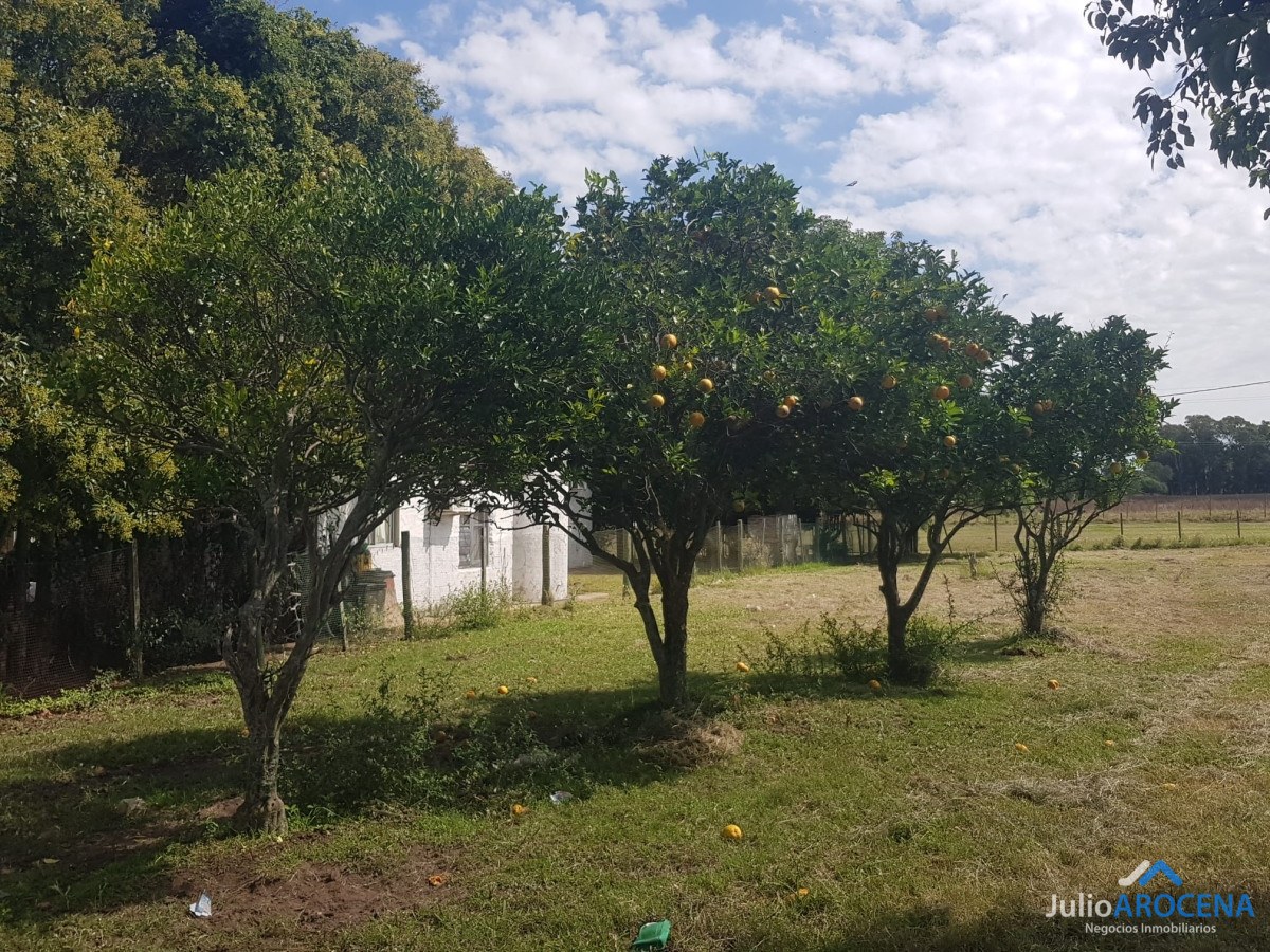 Terreno ID.1023 - HECTAREA A LA VENTA