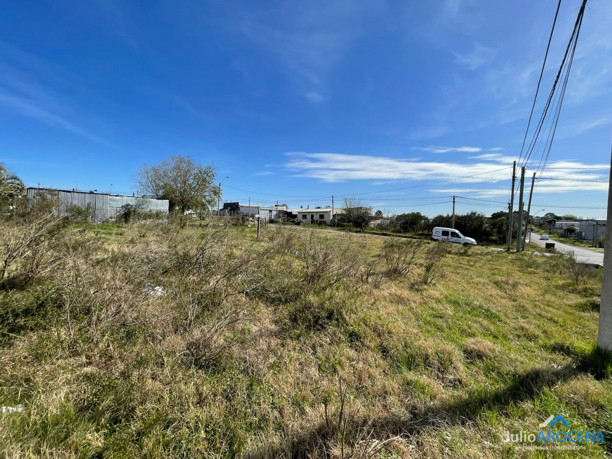 Terreno ID.893 - Terreno excepcional de 300m² 