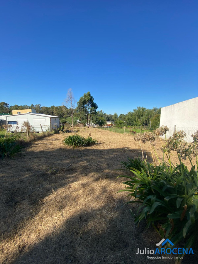 Terreno ID.1210 - Terreno En Venta Celedoño Rojas 