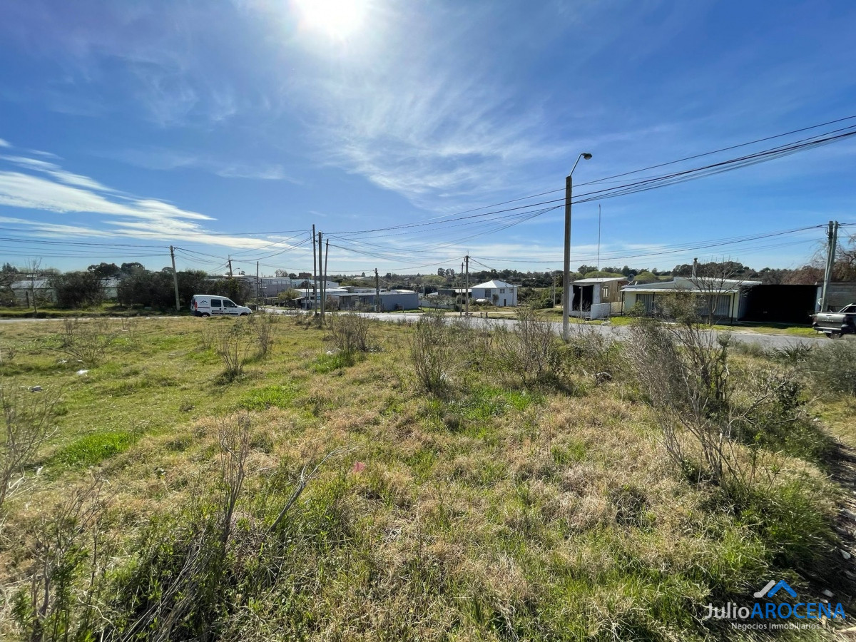 Terreno ID.893 - Terreno excepcional de 300m² 