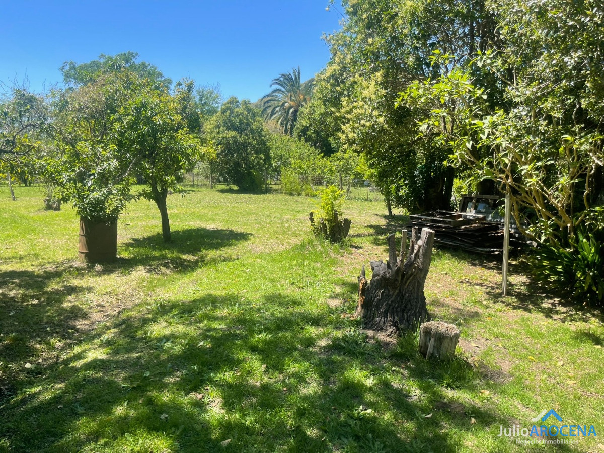 Terreno ID.953 - Extenso terreno en zona real de sancarlos! 