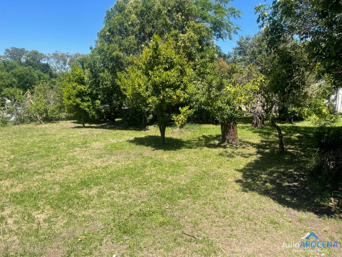 Terreno ID.953 - Extenso terreno en zona real de sancarlos! 