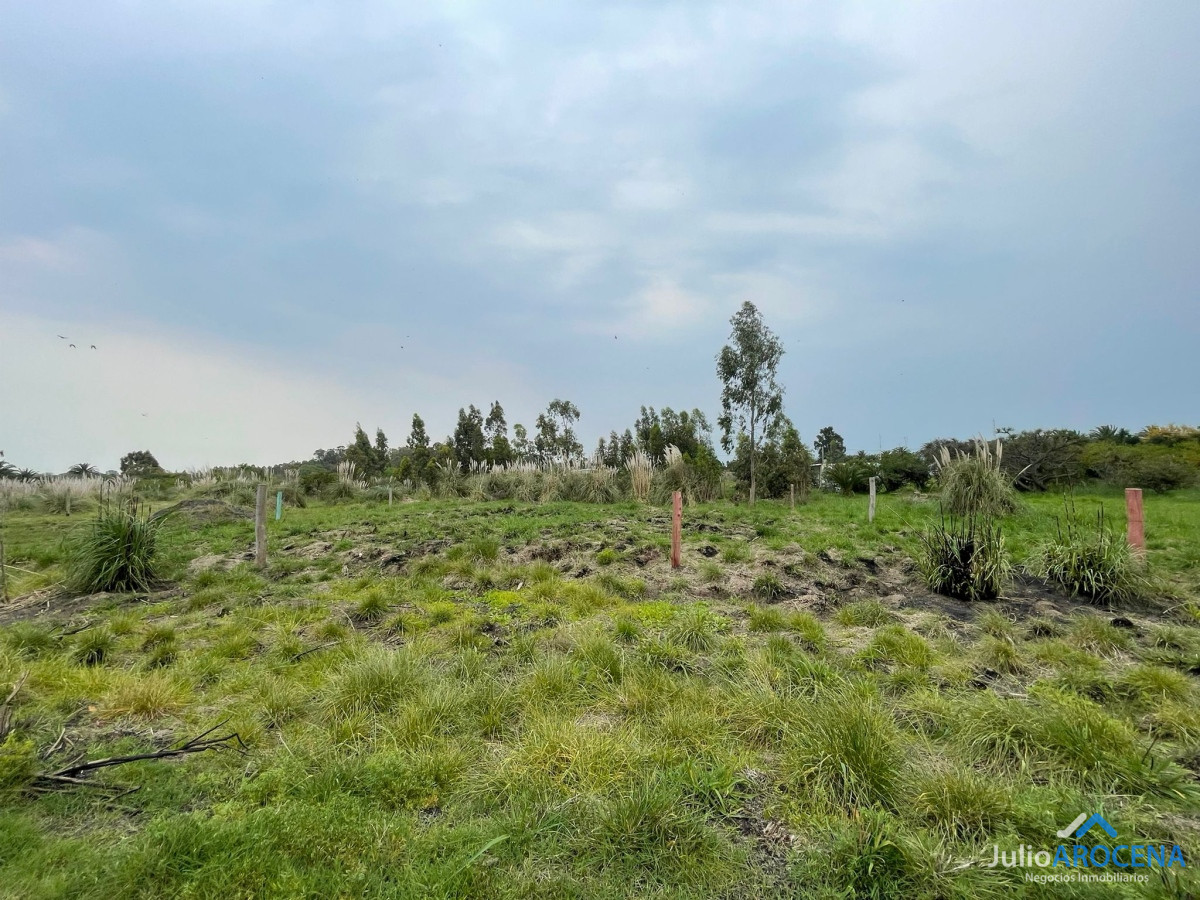 Terreno ID.1114 - Esplendido Terreno con cercania a ruta 1