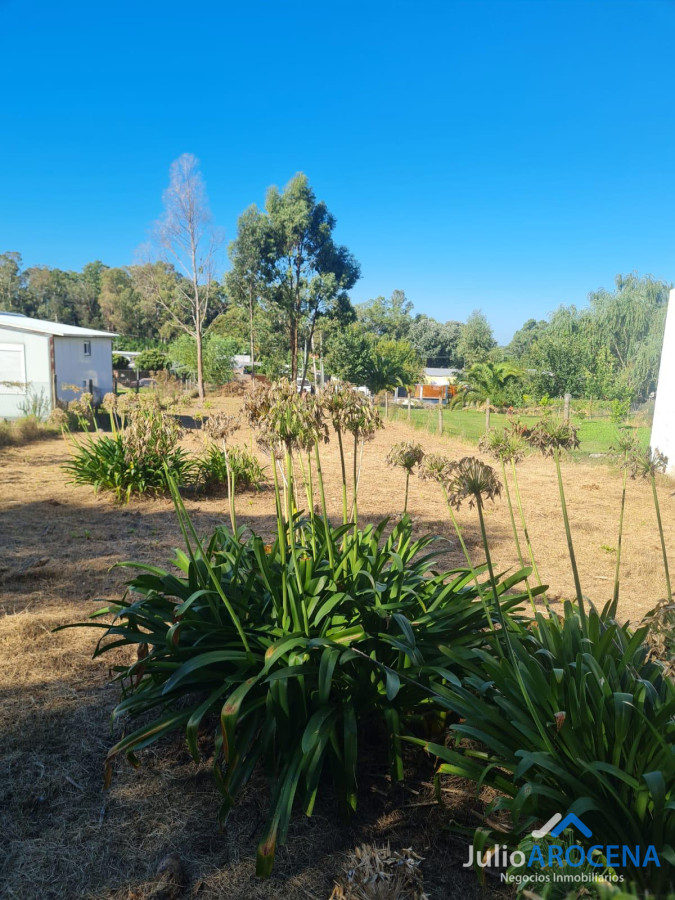 Terreno ID.1210 - Terreno En Venta Celedoño Rojas 
