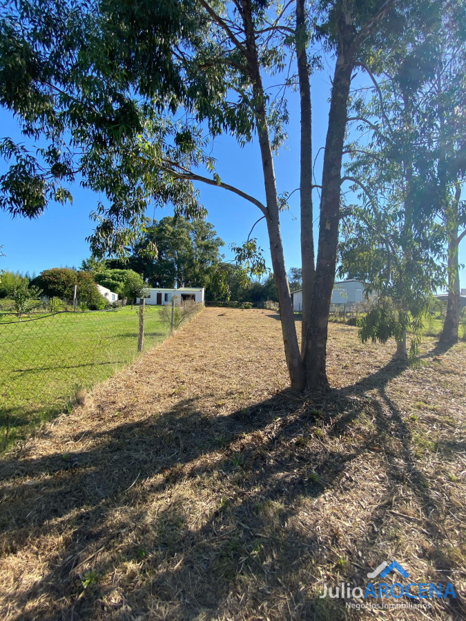 Terreno ID.1210 - Terreno En Venta Celedoño Rojas 
