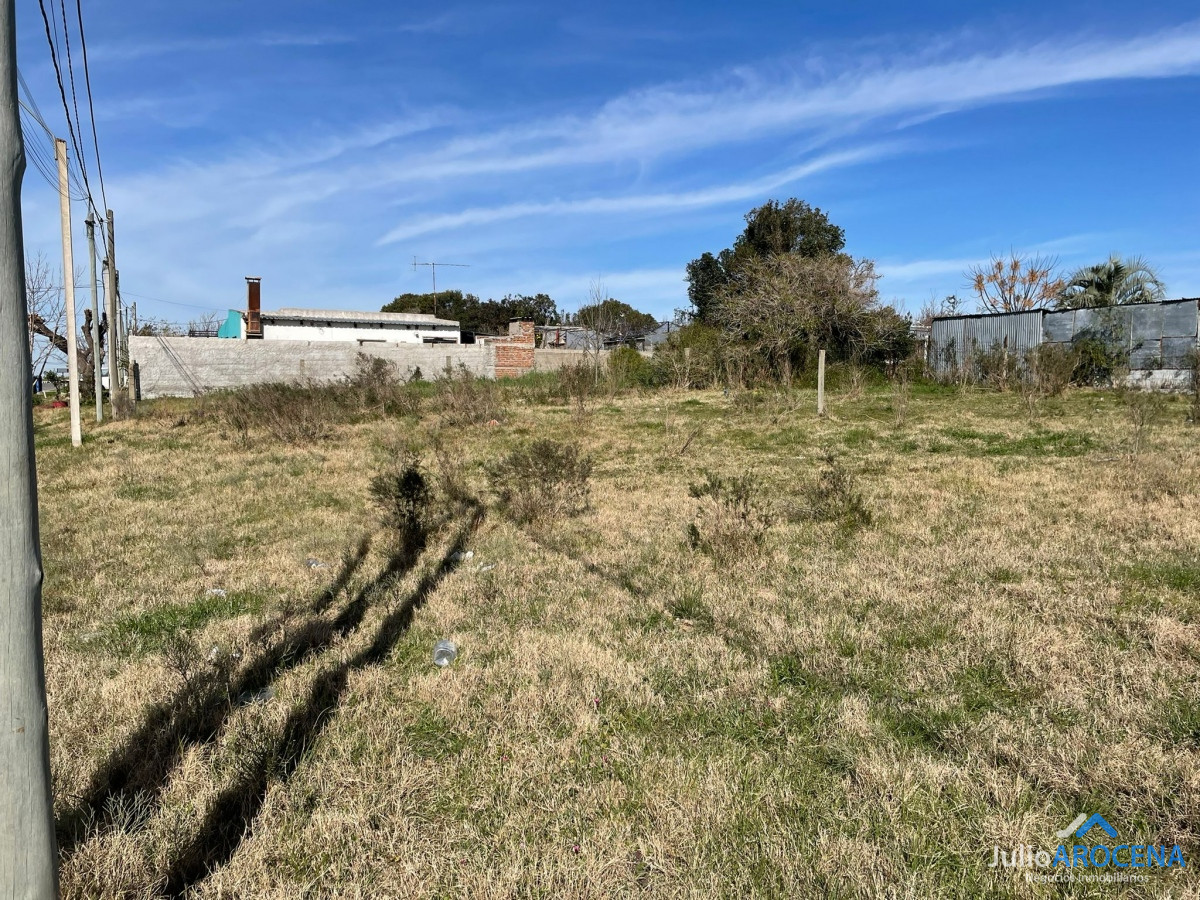 Terreno ID.893 - Terreno excepcional de 300m² 