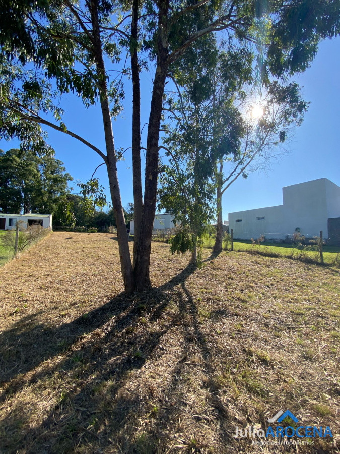 Terreno ID.1210 - Terreno En Venta Celedoño Rojas 