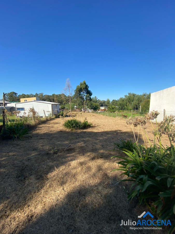 Terreno ID.1210 - Terreno En Venta Celedoño Rojas 