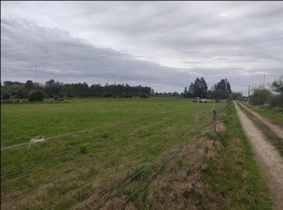 50 HECTAREAS - ESPECTACULAR TERRENO EN ALTOS DE ARAUCARIA 