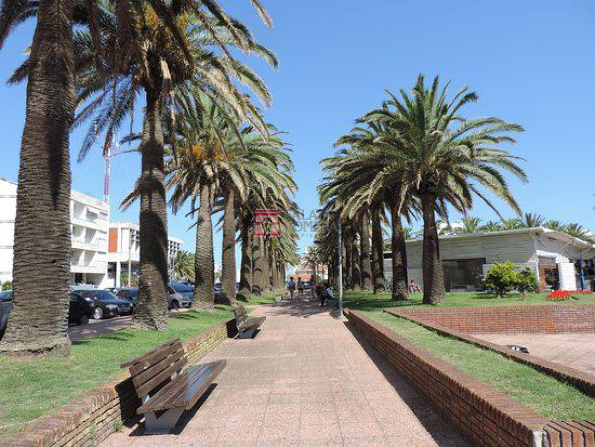 Punta del Este - GoPunta - Portal Inmobiliario de Punta del Este - Maldonado