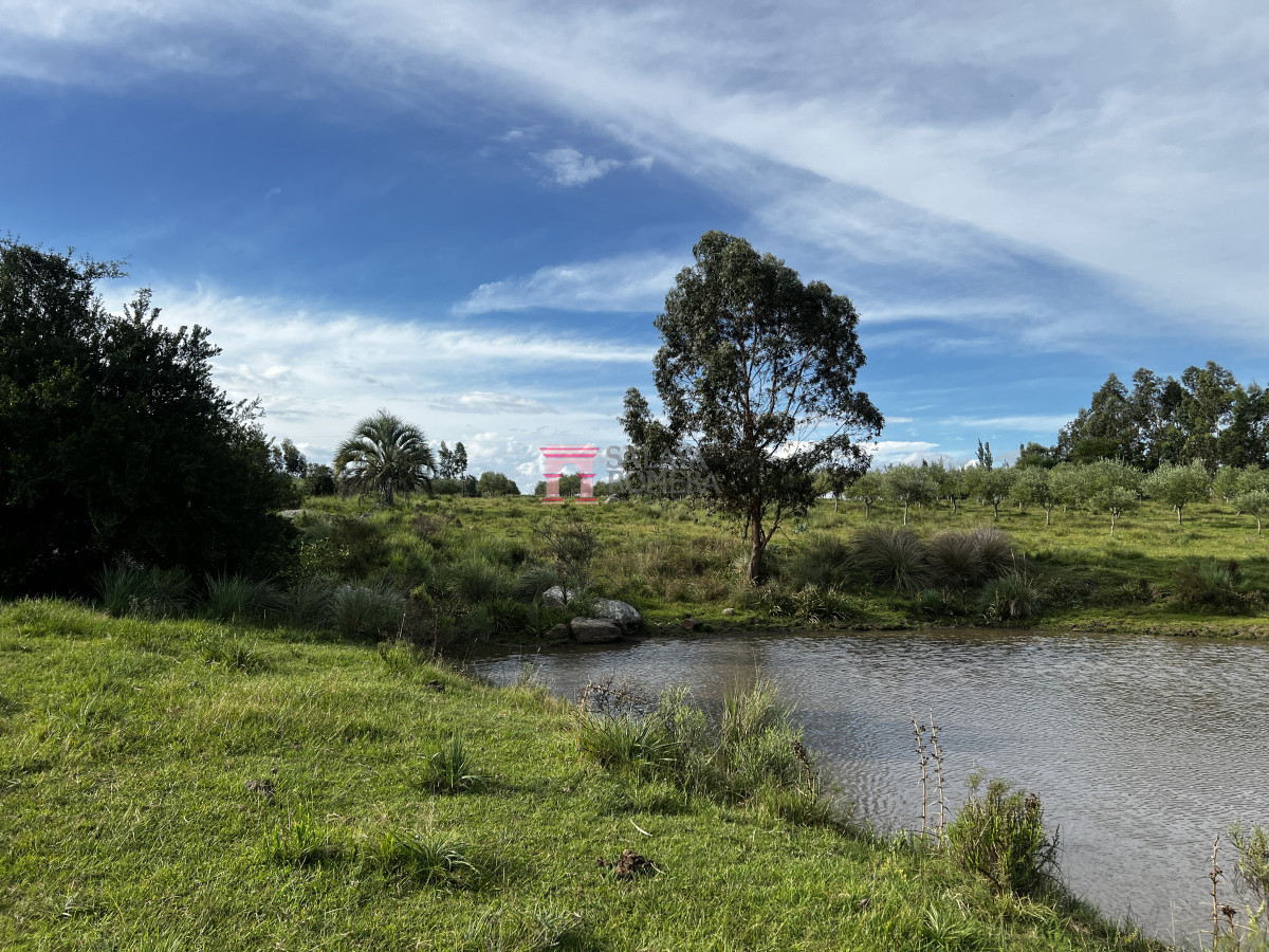 Las Cañas - GoPunta - Portal Inmobiliario de Punta del Este - Maldonado