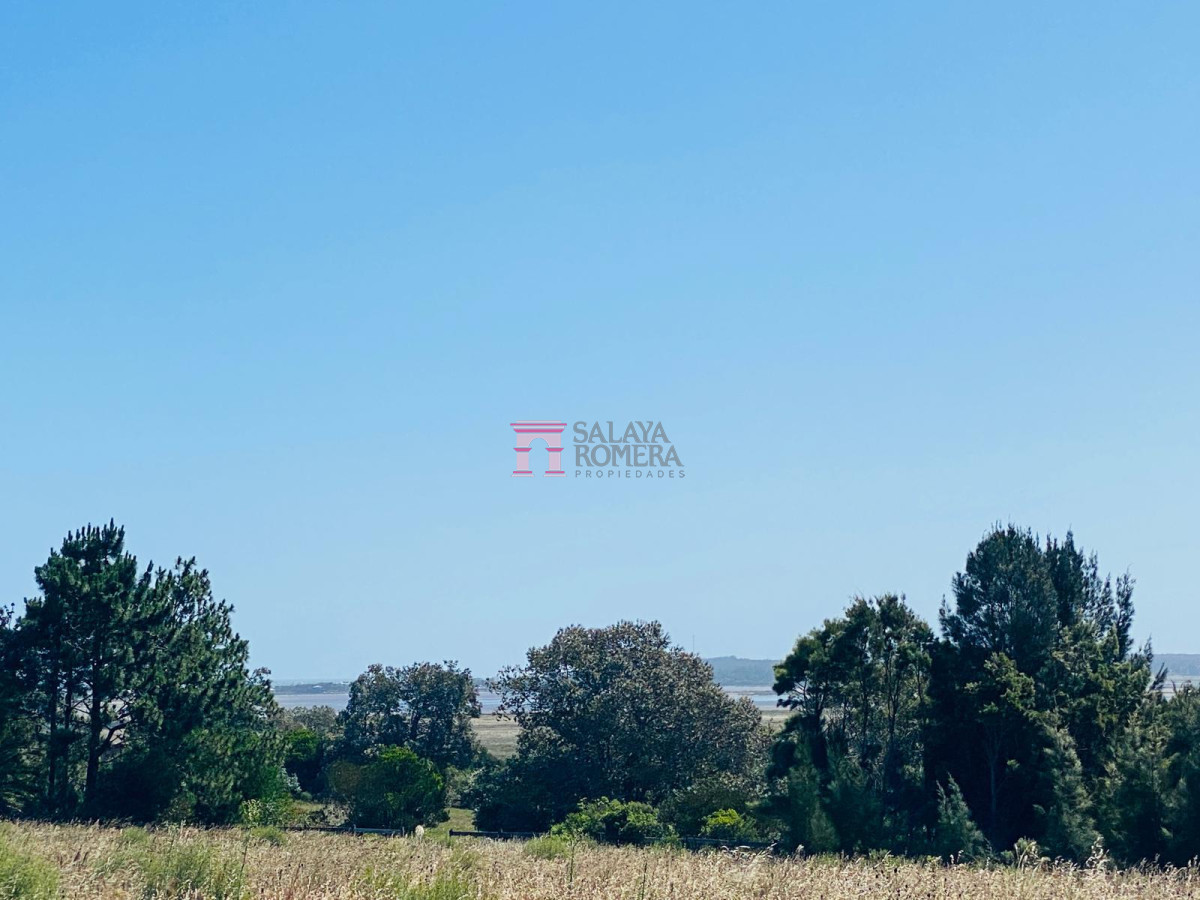 Medellin - GoPunta - Portal Inmobiliario de Punta del Este - Maldonado