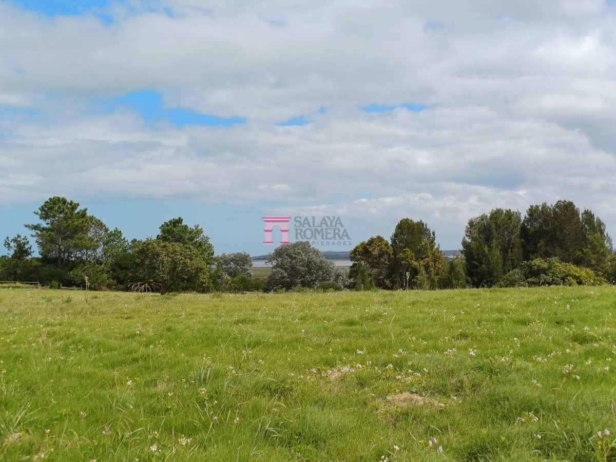 Medellin - GoPunta - Portal Inmobiliario de Punta del Este - Maldonado