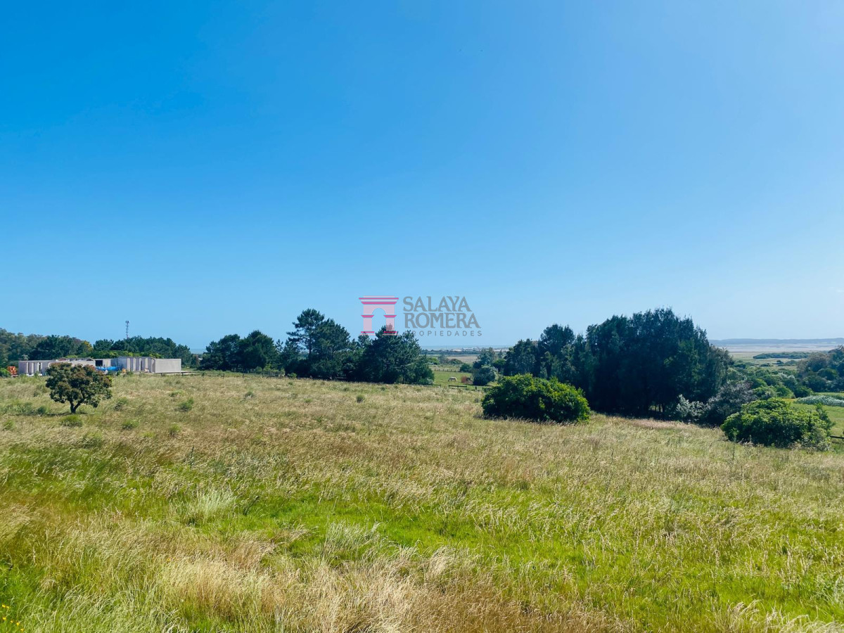 Medellin - GoPunta - Portal Inmobiliario de Punta del Este - Maldonado