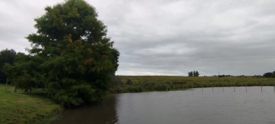 Hermosa Chacra de casi 30has con casa a minutos de Garzon y Jose Ignacio