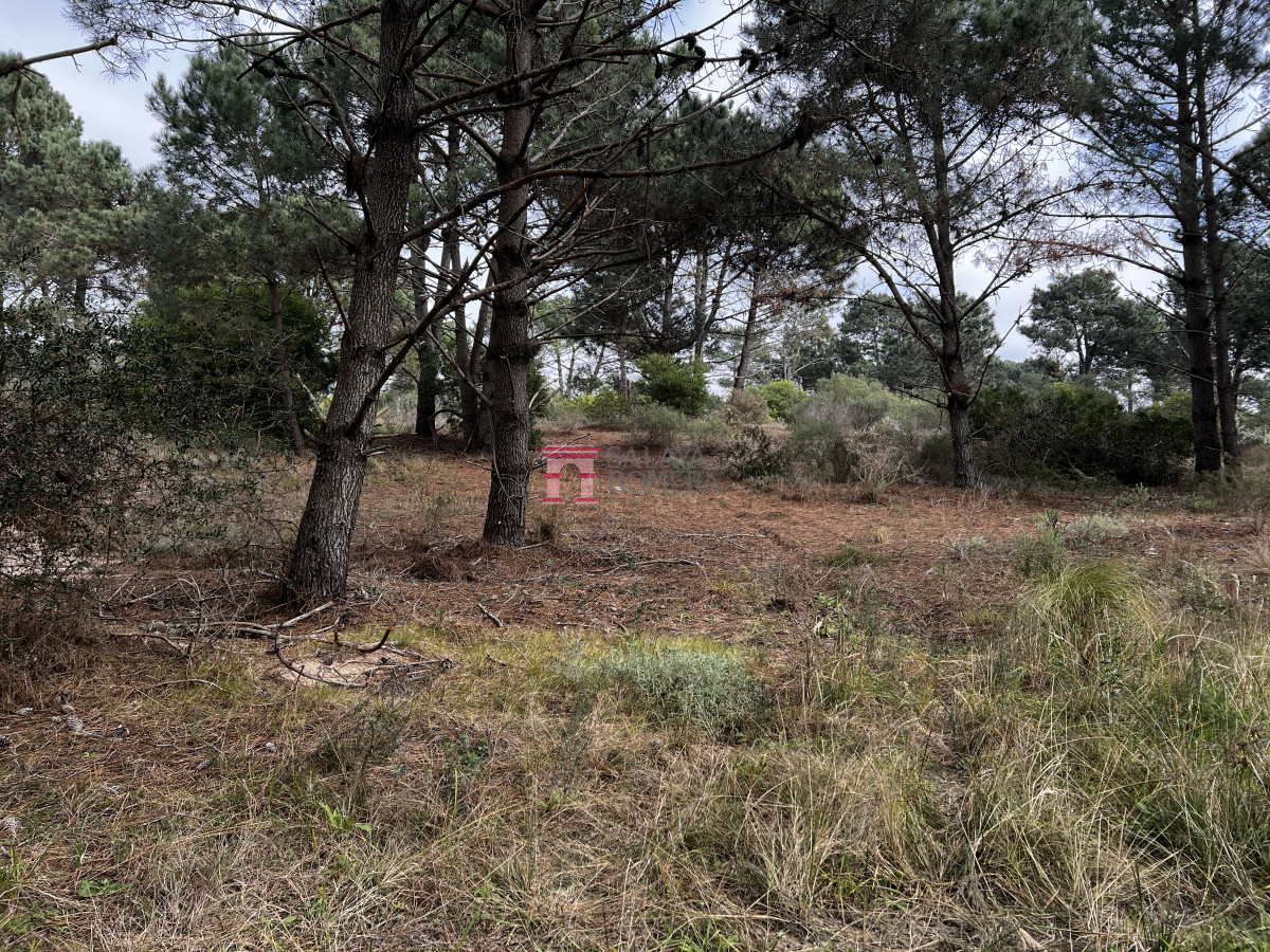 Laguna Escondida - GoPunta - Portal Inmobiliario de Punta del Este - Maldonado