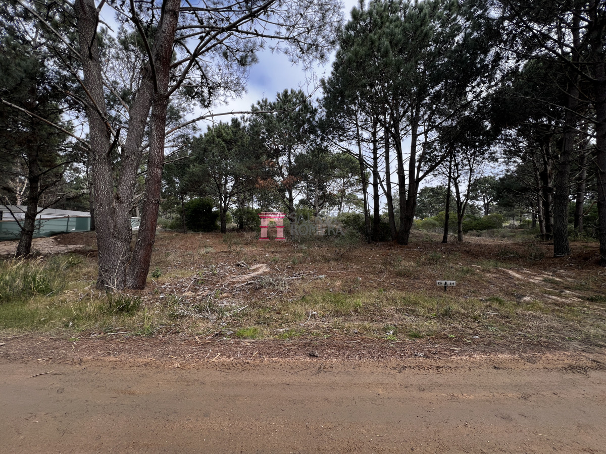 Laguna Escondida - GoPunta - Portal Inmobiliario de Punta del Este - Maldonado