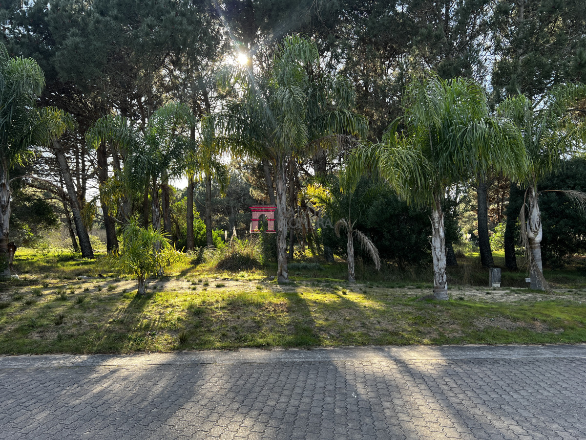 Laguna Escondida - GoPunta - Portal Inmobiliario de Punta del Este - Maldonado