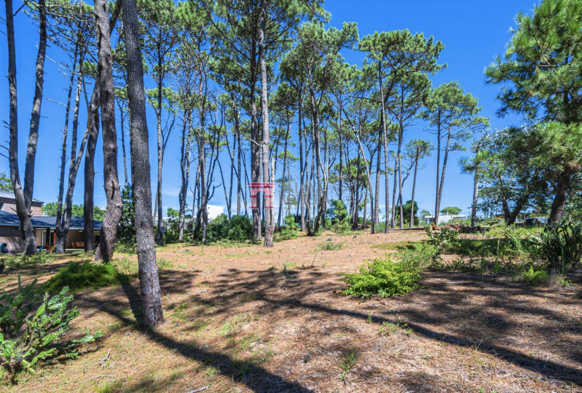 Laguna Blanca - GoPunta - Portal Inmobiliario de Punta del Este - Maldonado