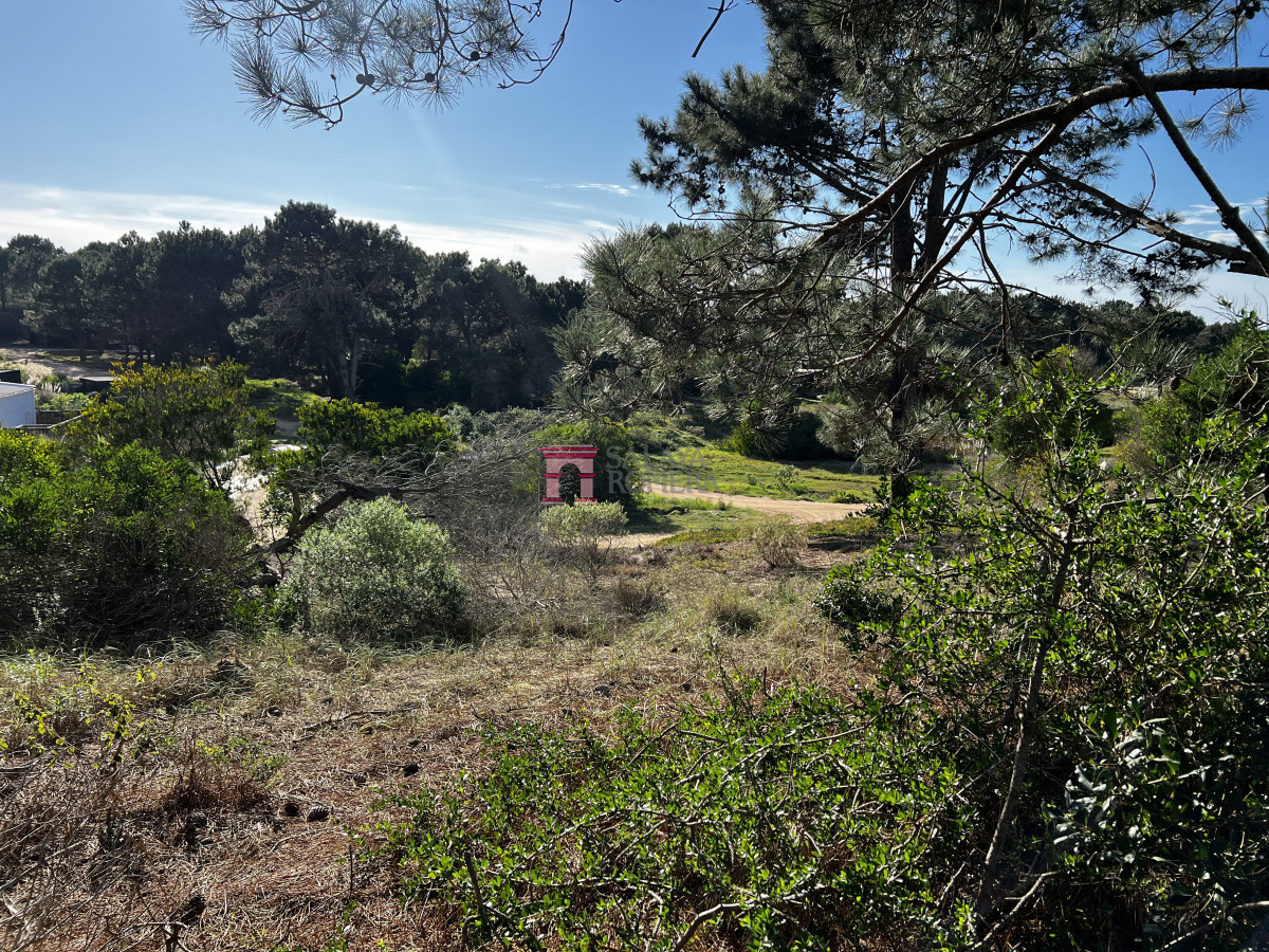 Laguna Escondida - GoPunta - Portal Inmobiliario de Punta del Este - Maldonado