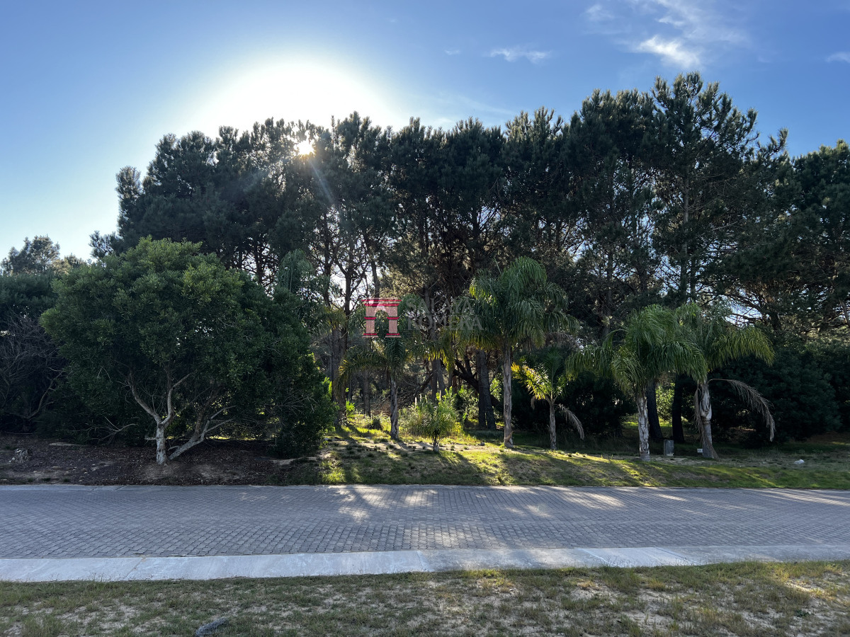 Laguna Escondida - GoPunta - Portal Inmobiliario de Punta del Este - Maldonado