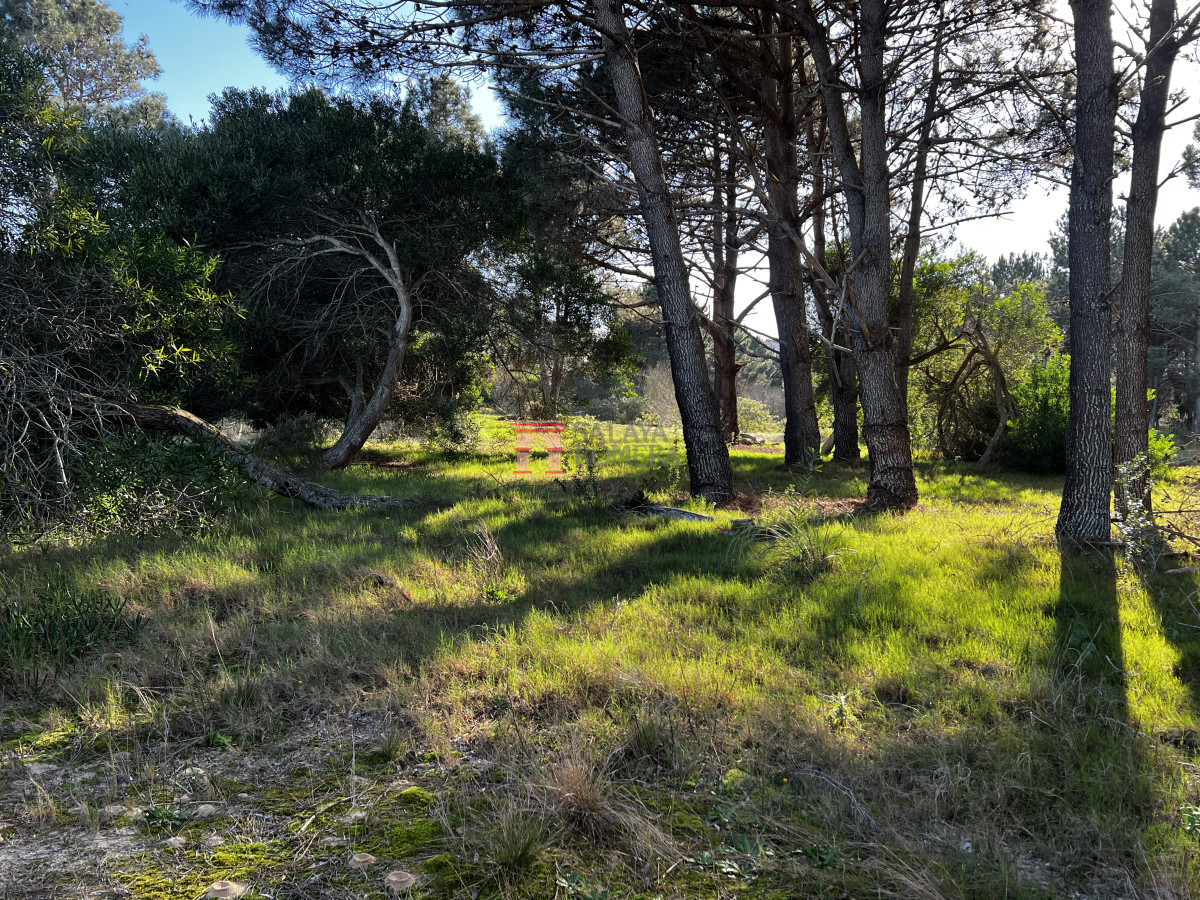 Laguna Escondida - GoPunta - Portal Inmobiliario de Punta del Este - Maldonado